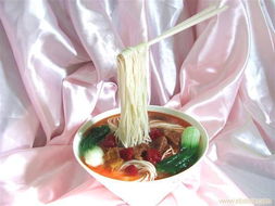 仿真菜品 真优美仿真食品模型，专家级菜品制作艺术